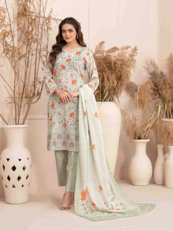 Special  Collection - Image 3